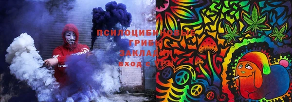 стаф Алексин
