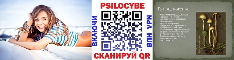 Псилоцибиновые грибы Psilocybe  Аркадак 